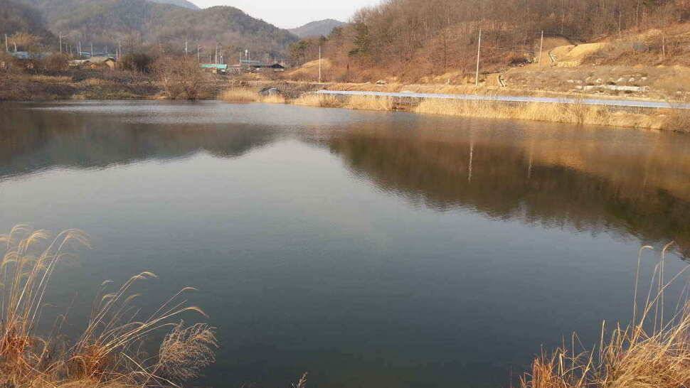 구미권 저수지 상황입니다 (조황조행기 - 낚시점조황)