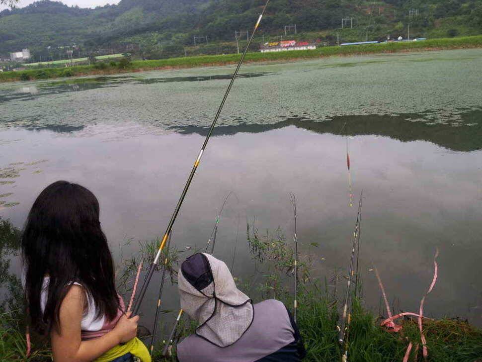 청도권 조황입니다 (조황조행기 - 낚시점조황)