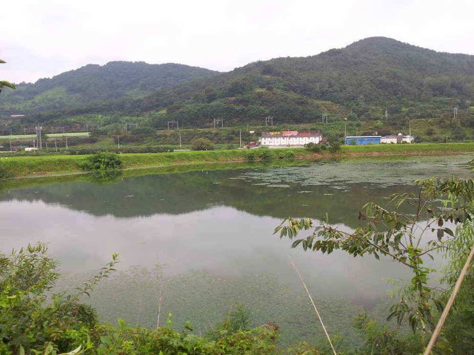 청도권 조황입니다 (조황조행기 - 낚시점조황)