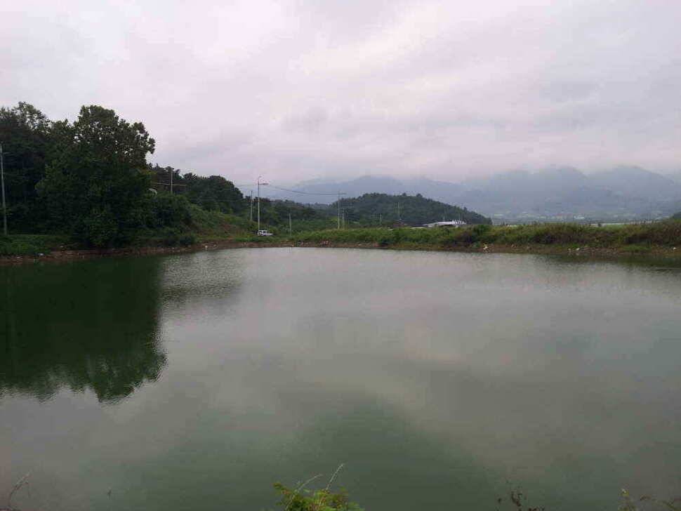 청도권 조황입니다 (조황조행기 - 낚시점조황)