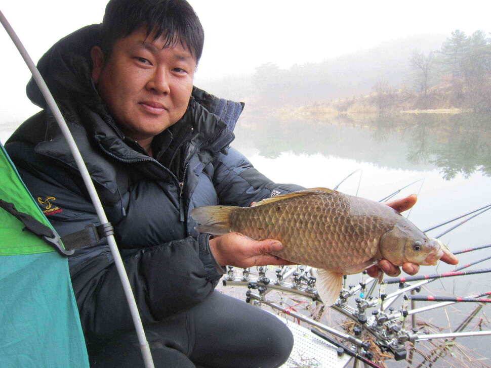 영천ic낚시 4짜 조황입니다 (조황조행기 - 낚시점조황)