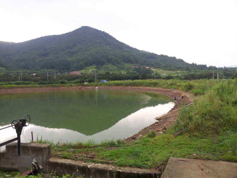 청도권 조황입니다 (조황조행기 - 낚시점조황)