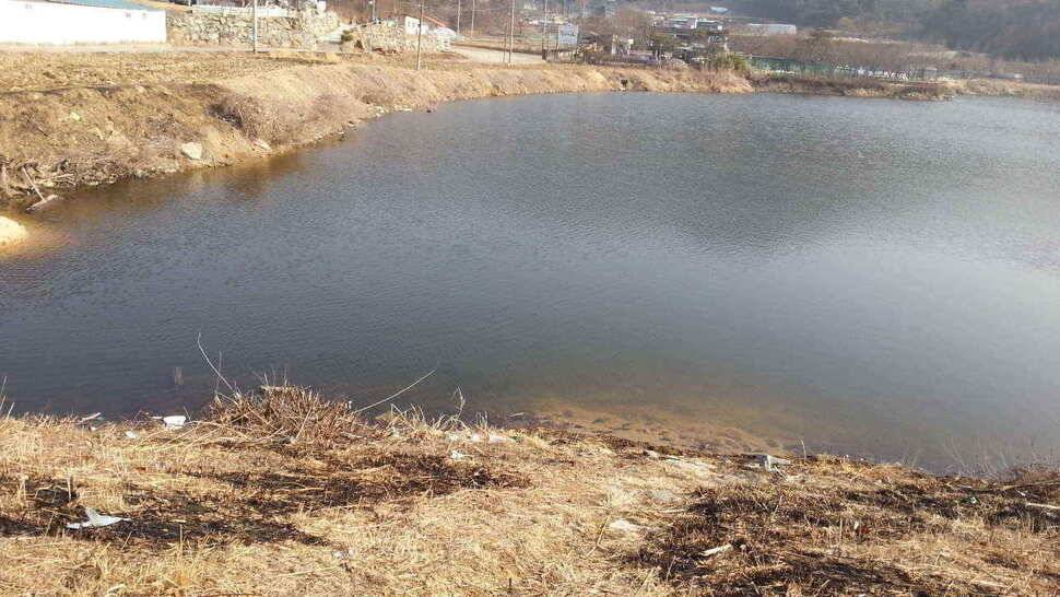 구미권 저수지 상황입니다 (조황조행기 - 낚시점조황)