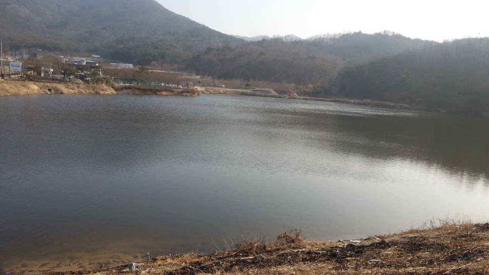 구미권 저수지 상황입니다 (조황조행기 - 낚시점조황)