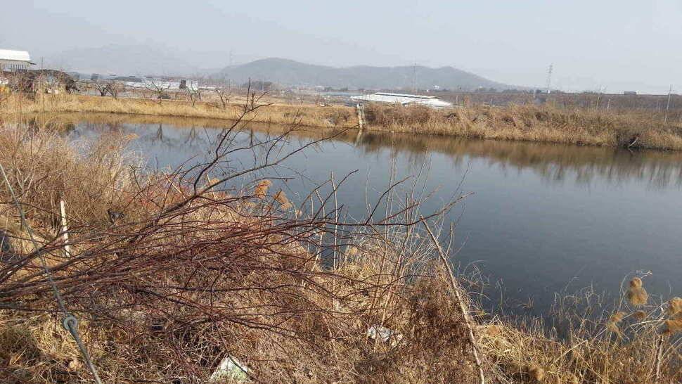 구미권 저수지 상황입니다 (조황조행기 - 낚시점조황)