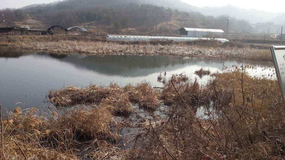 구미권 저수지 상황입니다 (조황조행기 - 낚시점조황)