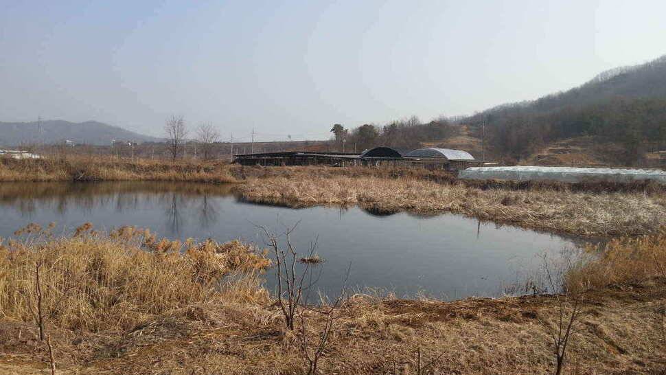 구미권 저수지 상황입니다 (조황조행기 - 낚시점조황)