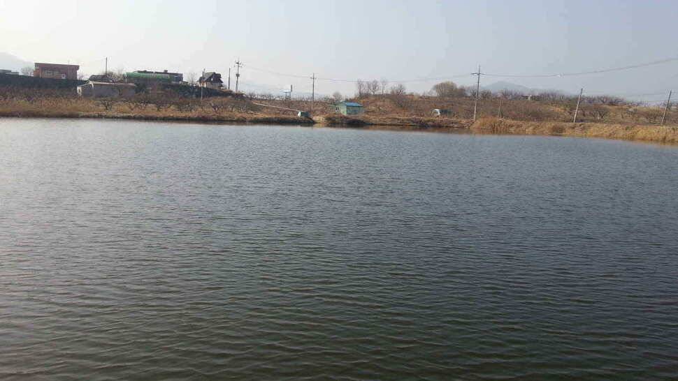 구미권 저수지 상황입니다 (조황조행기 - 낚시점조황)