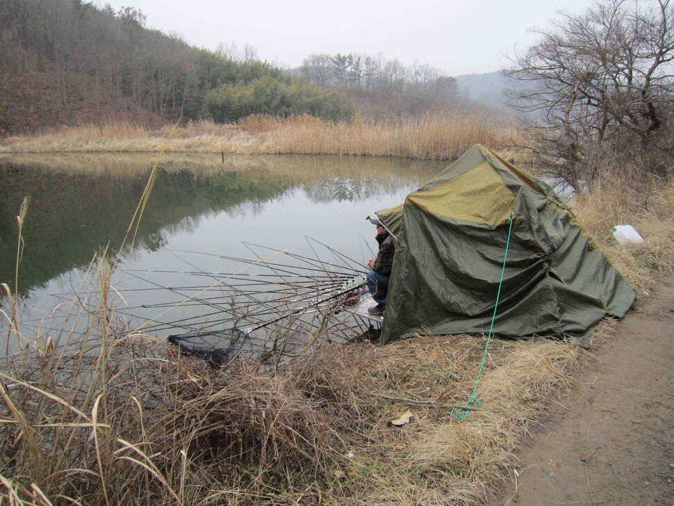 영천ic낚시 4짜 조황입니다 (조황조행기 - 낚시점조황)
