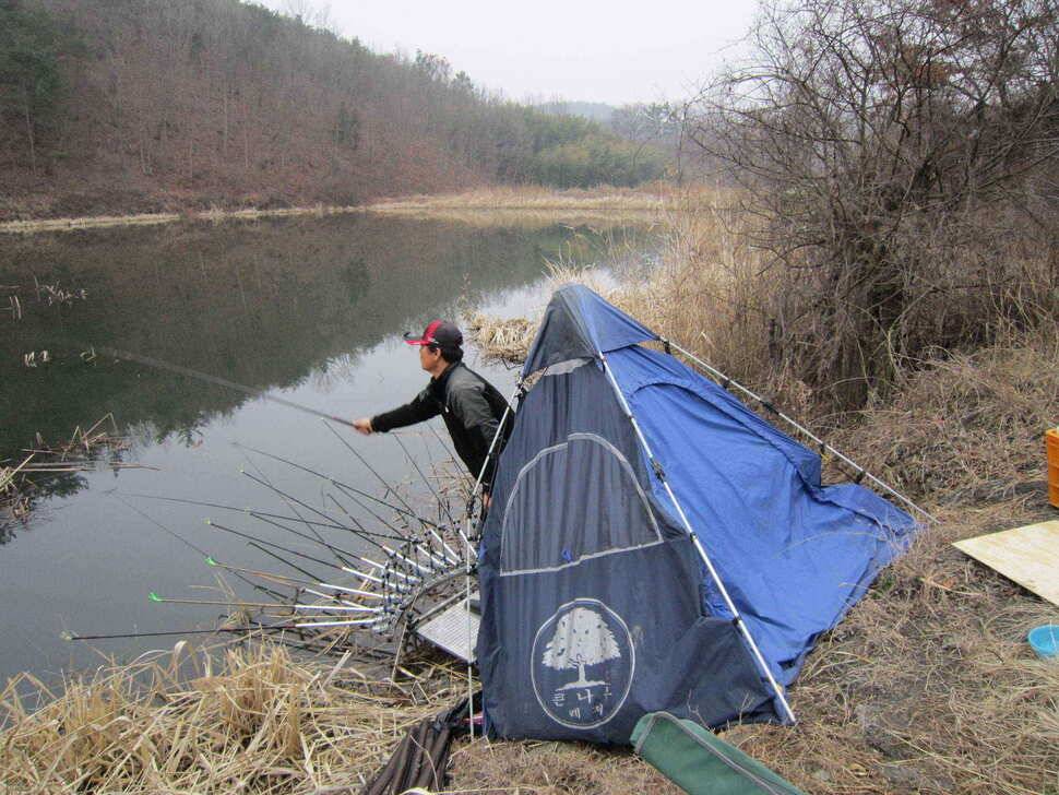 영천ic낚시 4짜 조황입니다 (조황조행기 - 낚시점조황)