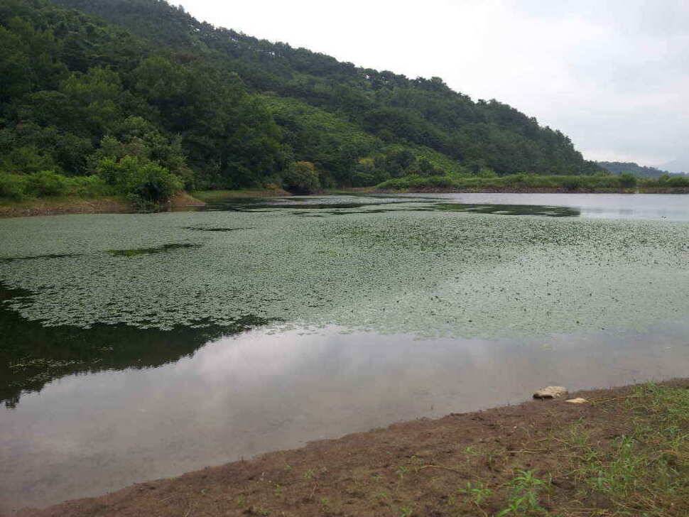 청도권 조황입니다 (조황조행기 - 낚시점조황)