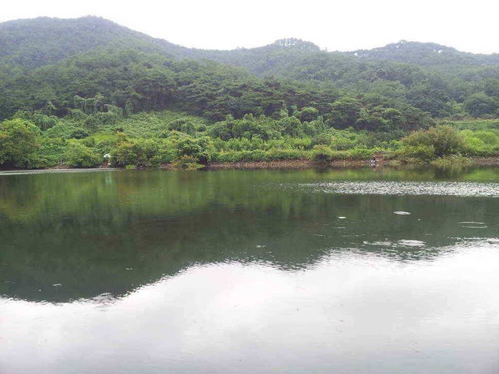 청도권 조황입니다 (조황조행기 - 낚시점조황)