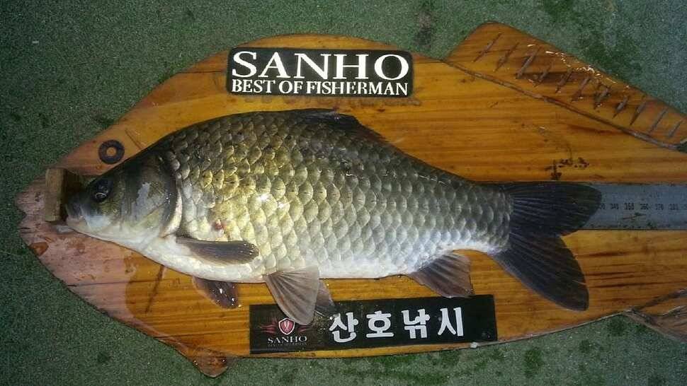2017년 구미권 붕어낚시 첫 조황소식 전합니다 (조황조행기 - 낚시점조황)