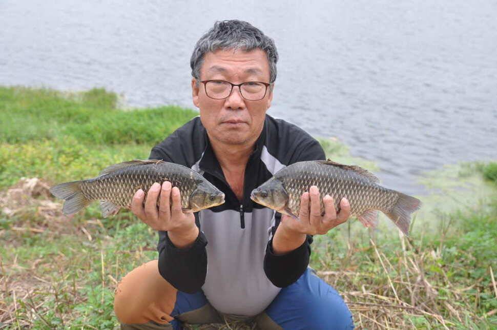 창녕권 조황 (조황조행기 - 낚시점조황)