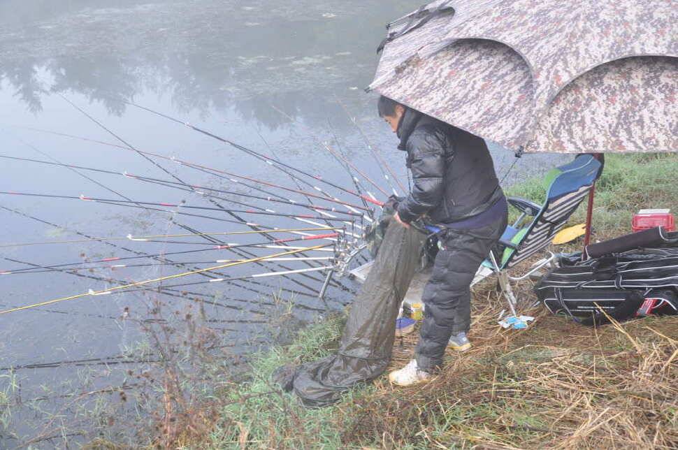 창녕권 조황 (조황조행기 - 낚시점조황)