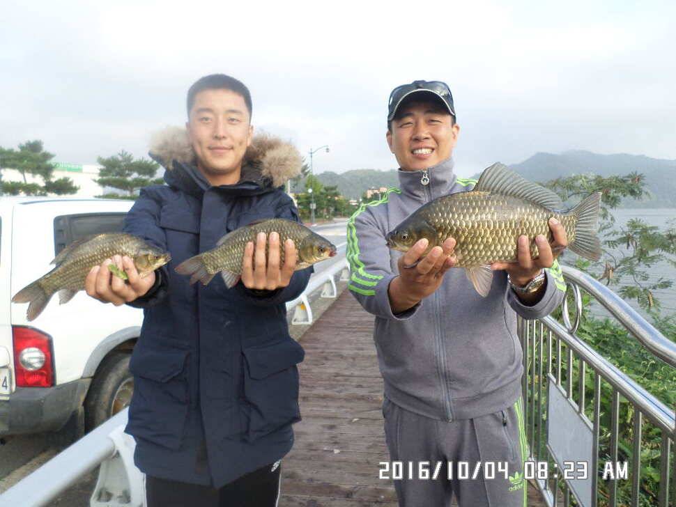 충주 탄금호 낚시조황 (조황조행기 - 낚시점조황)