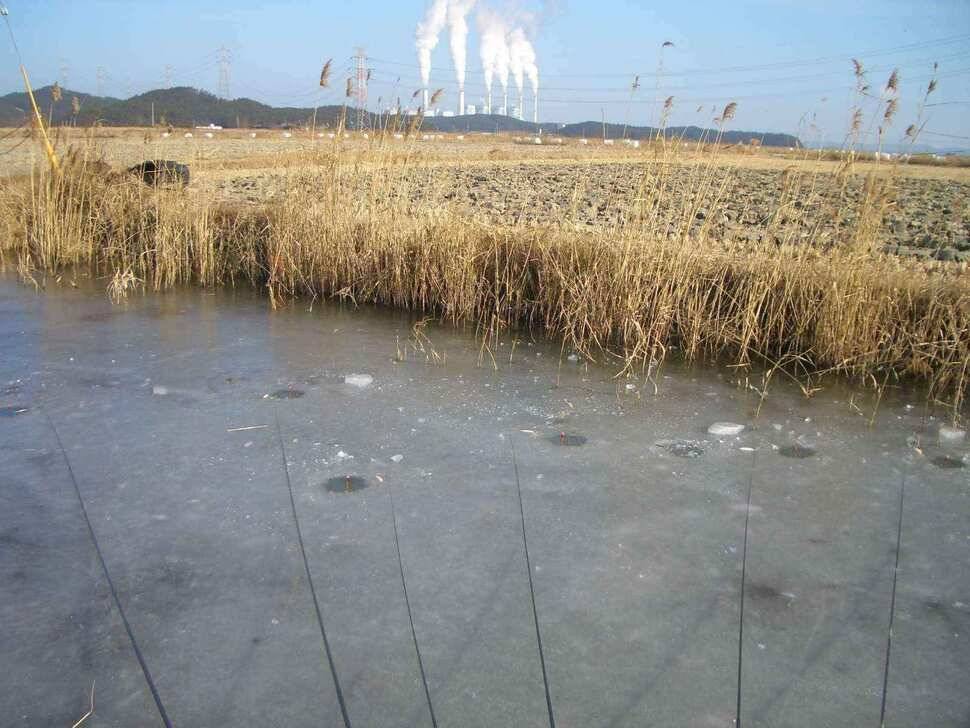서태안권수로권 출조시 참고하세요 (조황조행기 - 낚시점조황)