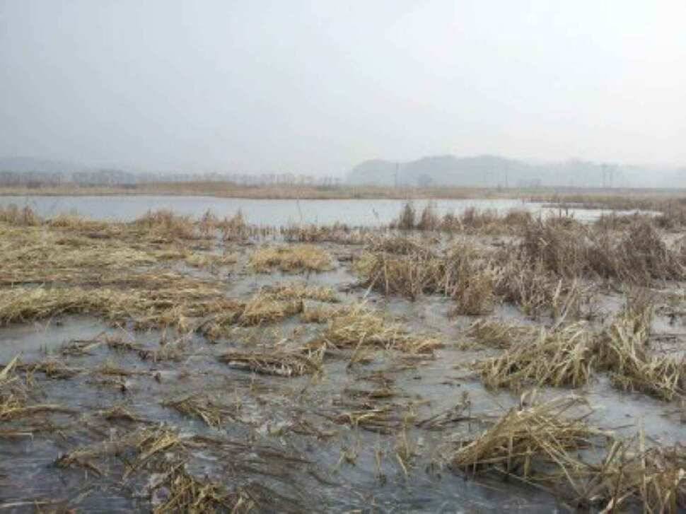 서태안권 얼음낚시 (조황조행기 - 낚시점조황)