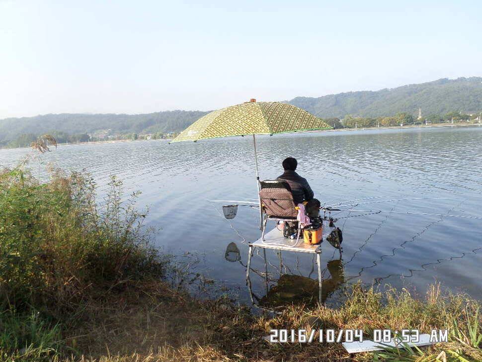 충주 탄금호 낚시조황 (조황조행기 - 낚시점조황)