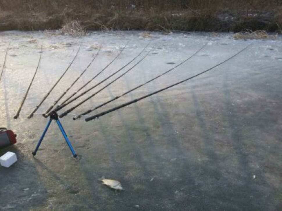 서태안권 얼음낚시 (조황조행기 - 낚시점조황)