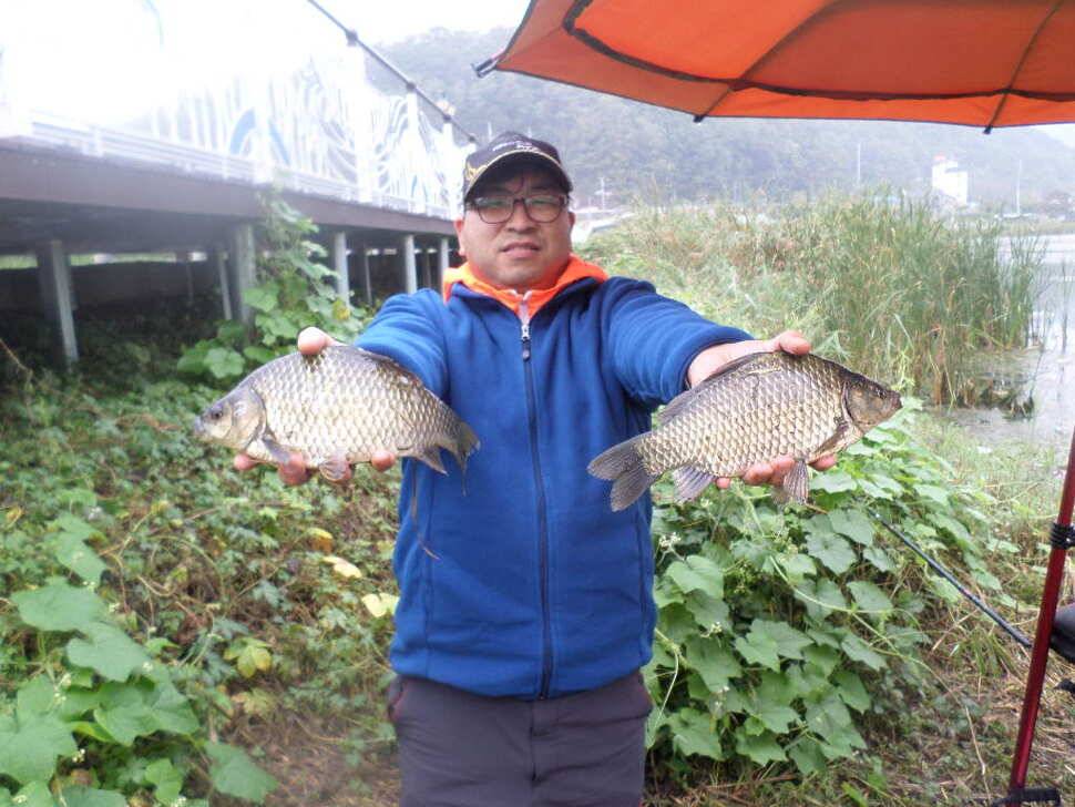 충주 탄금호 낚시조황 (조황조행기 - 낚시점조황)