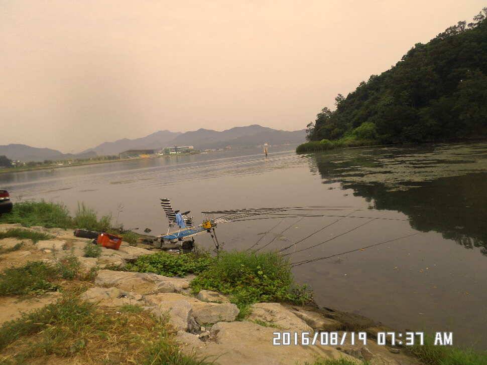 충주 탄금호 낚시조황 (조황조행기 - 낚시점조황)