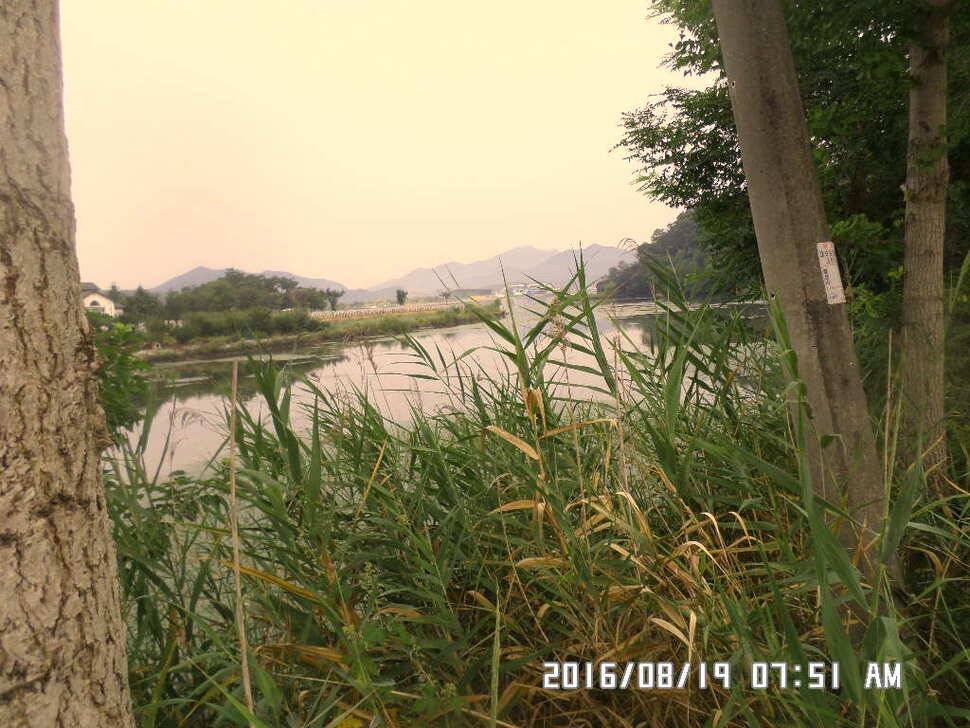 충주 탄금호 낚시조황 (조황조행기 - 낚시점조황)