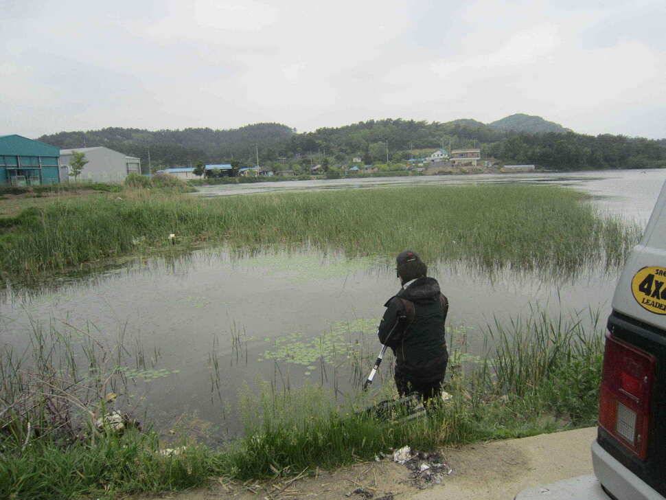 영천ic권 조황입니다 (조황조행기 - 낚시점조황)