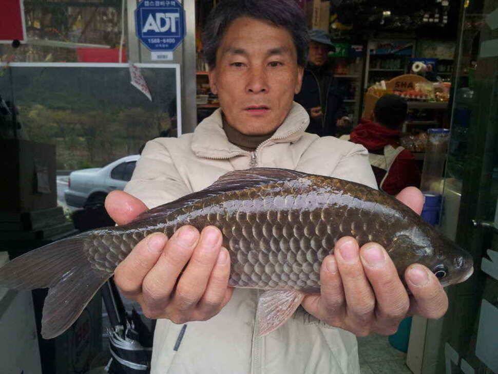청도권유동연지성곡땜 청도천등조황입니다 (조황조행기 - 낚시점조황)