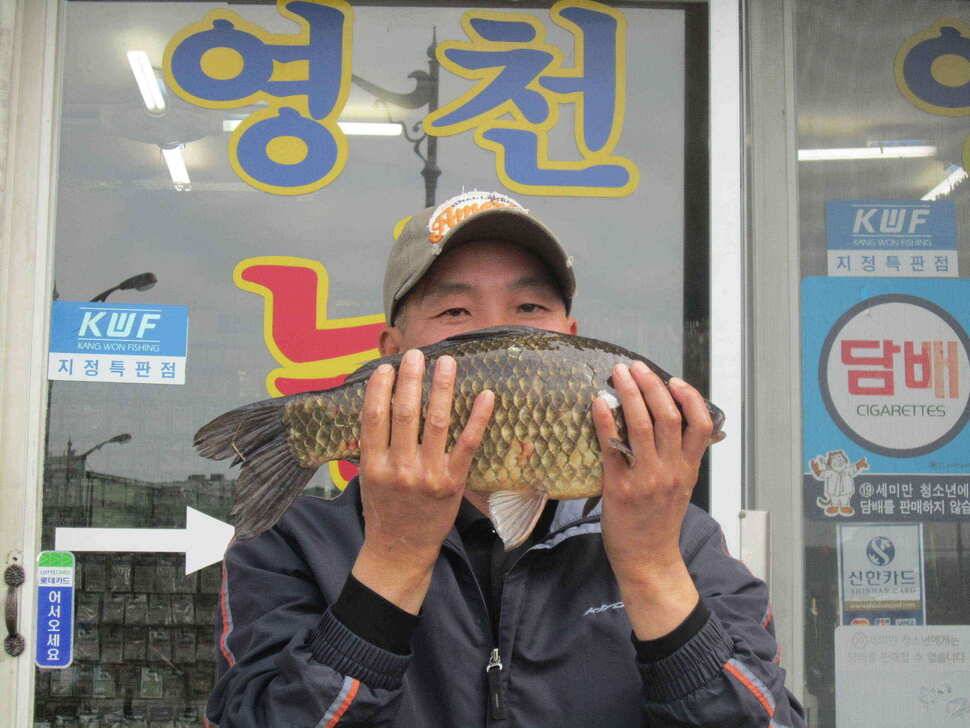 영천ic권 조황입니다 (조황조행기 - 낚시점조황)
