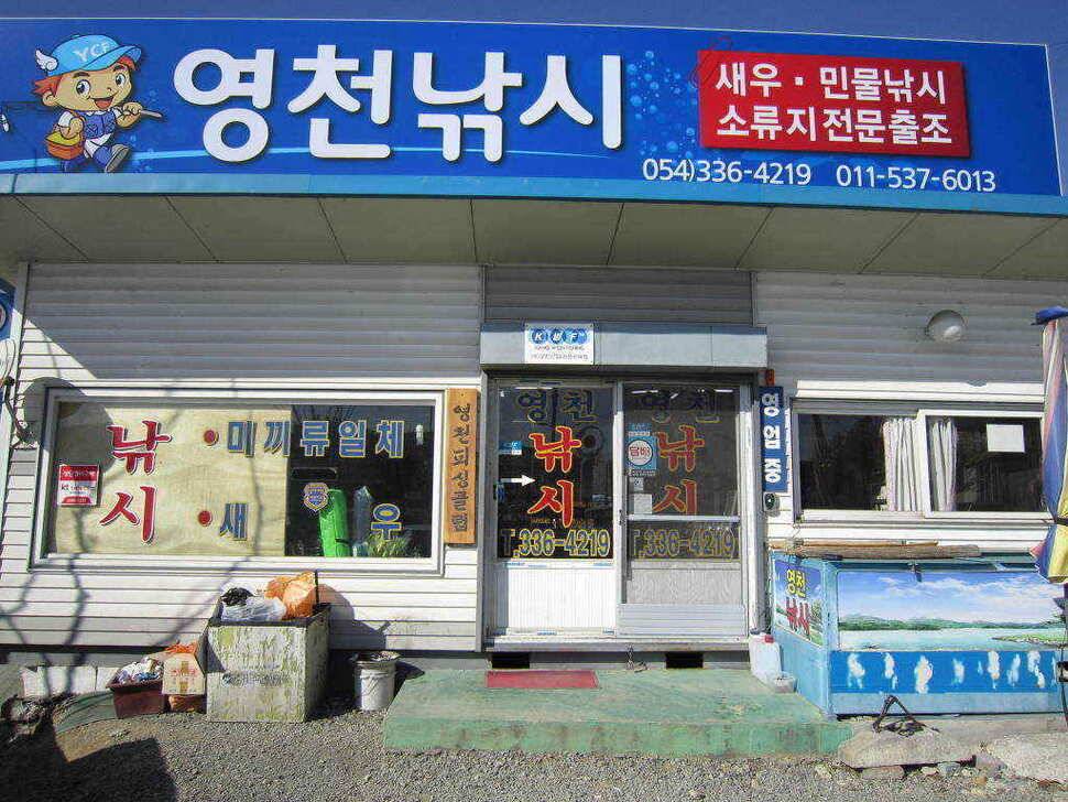 영천ic권 조황입니다 (조황조행기 - 낚시점조황)