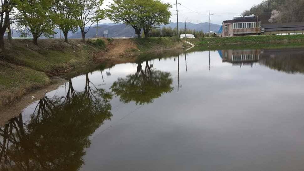 구미권 붕어소식들입니다 (조황조행기 - 낚시점조황)