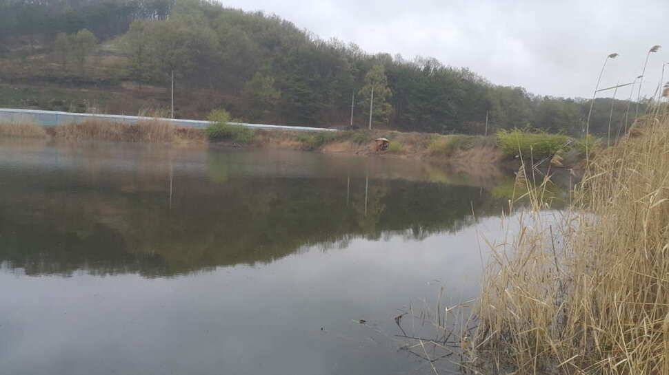 구미권 붕어소식들입니다 (조황조행기 - 낚시점조황)