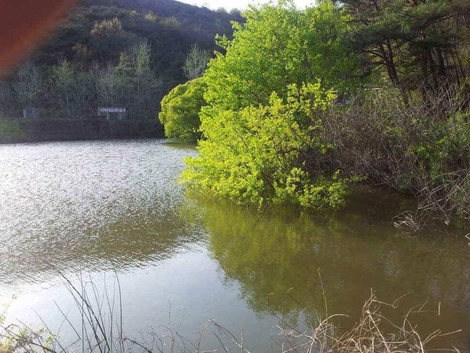 청도권유동연지성곡땜 청도천등조황입니다 (조황조행기 - 낚시점조황)