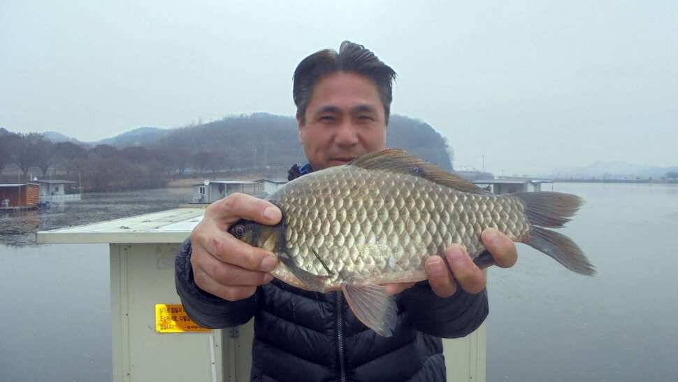 입석및 주변조황 (조황조행기 - 낚시점조황)