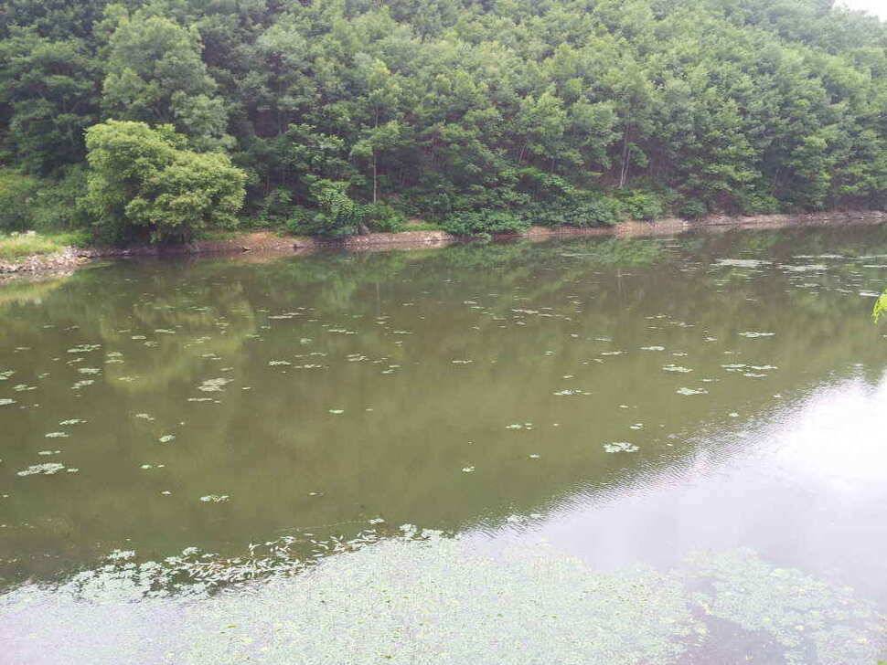 청도권 매전 소류지 조황입니다 (조황조행기 - 낚시점조황)