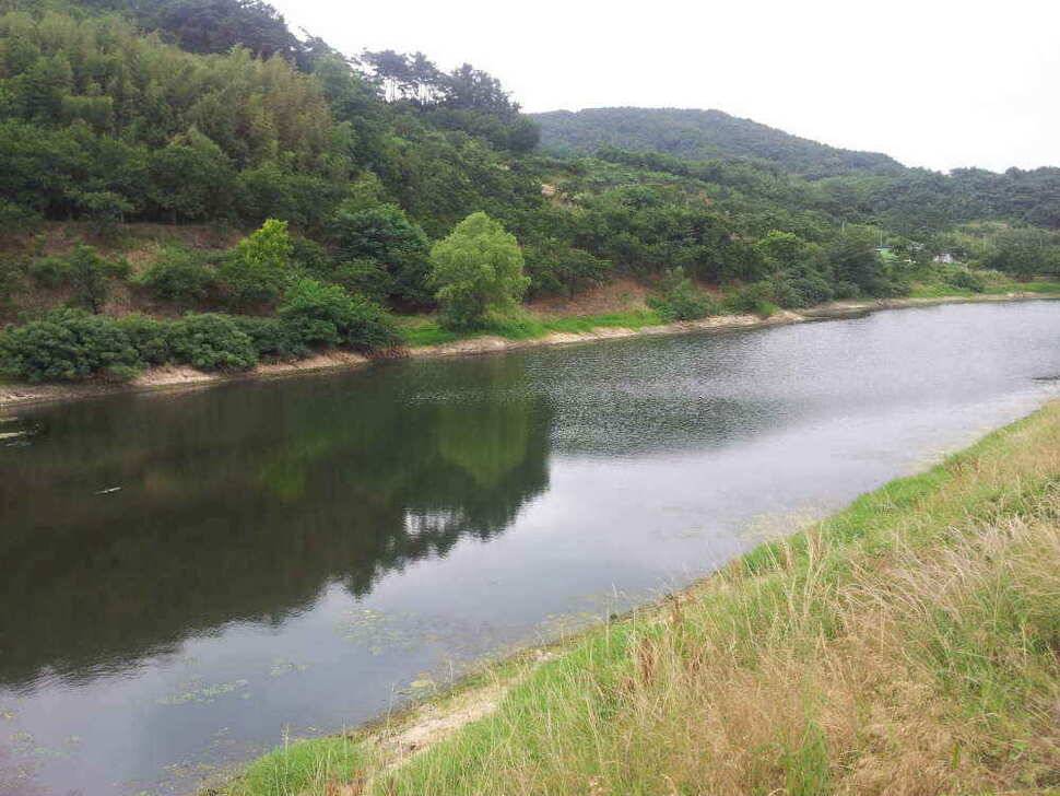 청도권 매전 소류지 조황입니다 (조황조행기 - 낚시점조황)
