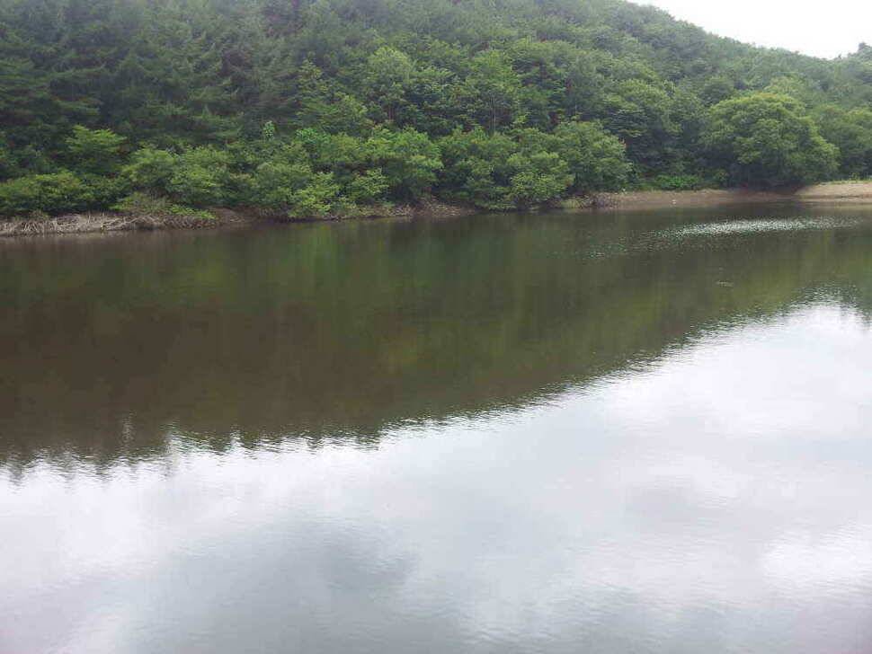 청도권 매전 소류지 조황입니다 (조황조행기 - 낚시점조황)