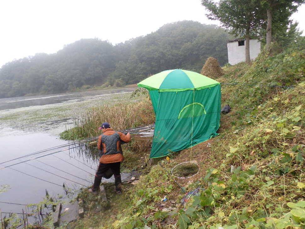 충주 탄금호 낚시조황 (조황조행기 - 낚시점조황)