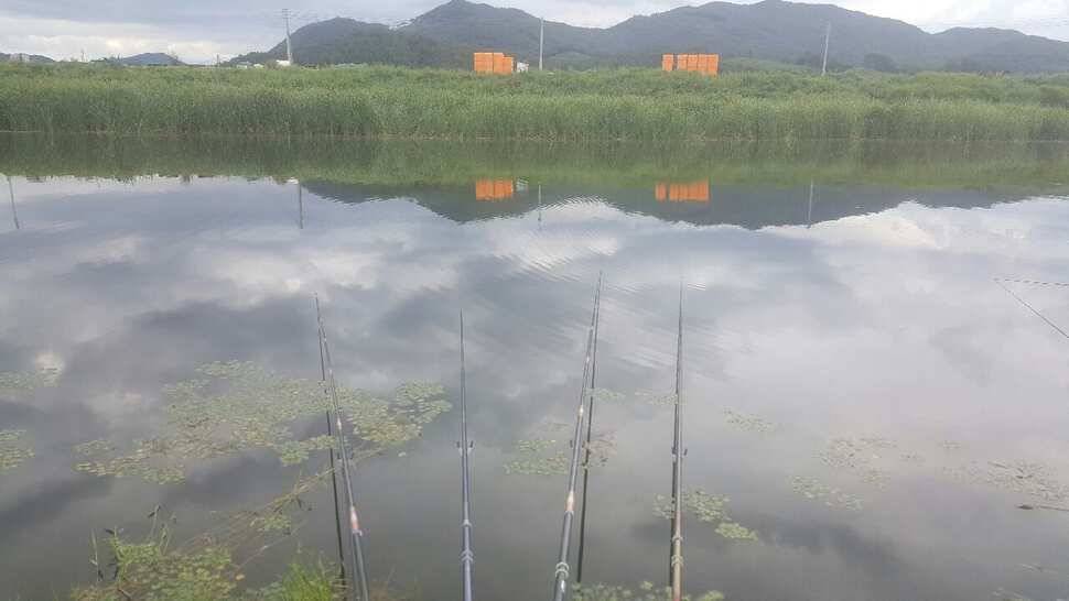 음성권 정보 (조황조행기 - 낚시점조황)