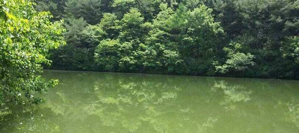 청도권유동연지성곡땜 청도천소류지가등 대박 조황입니다 (조황조행기 - 낚시점조황)