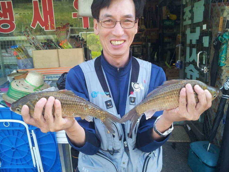 청도권유동연지성곡땜 청도천소류지가등 대박 조황입니다 (조황조행기 - 낚시점조황)