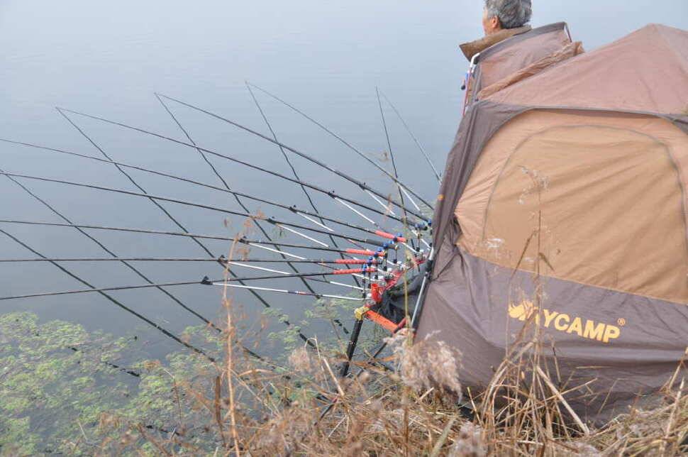 창녕권 41 45 준 월척이 마릿수 (조황조행기 - 낚시점조황)
