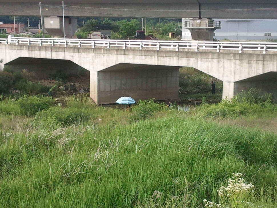 칠곡성주권조황454436353434외 마리수 (조황조행기 - 낚시점조황)