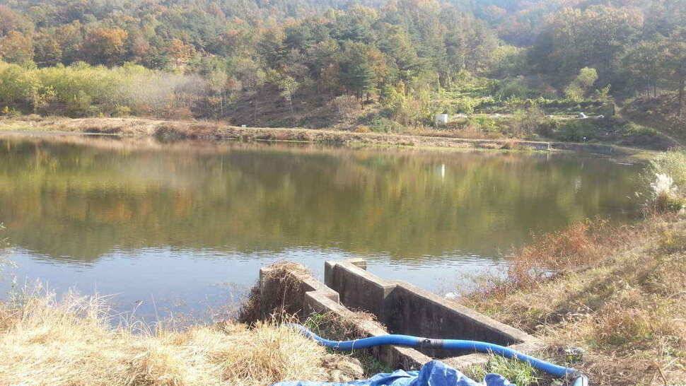 구미권 저수지 및 낙동강조황 (조황조행기 - 낚시점조황)