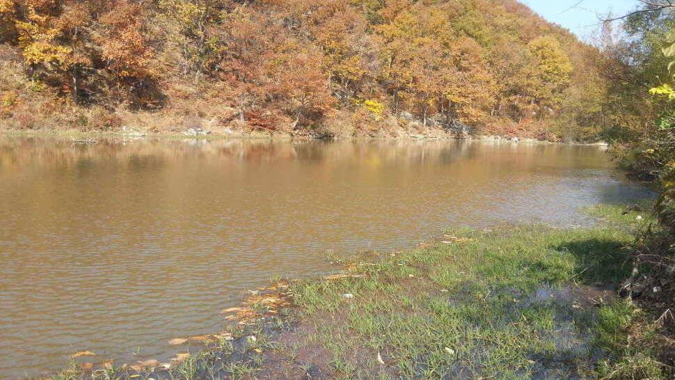 구미권 저수지 및 낙동강조황 (조황조행기 - 낚시점조황)