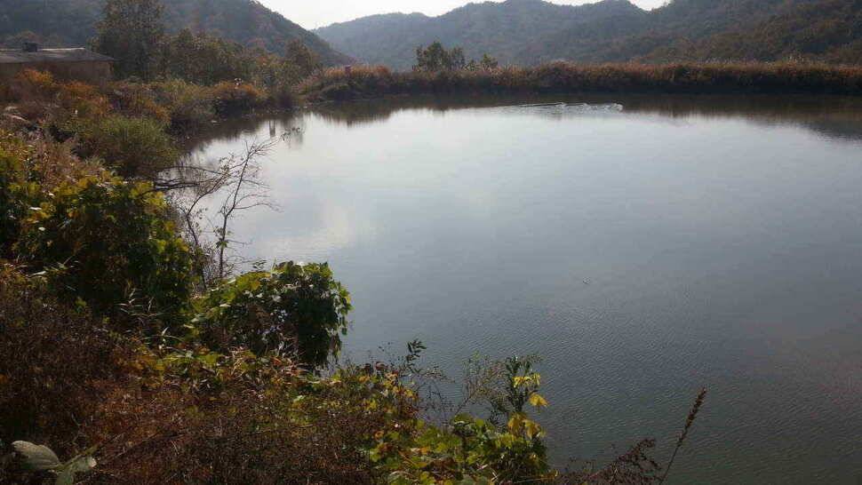 구미권 저수지 및 낙동강조황 (조황조행기 - 낚시점조황)