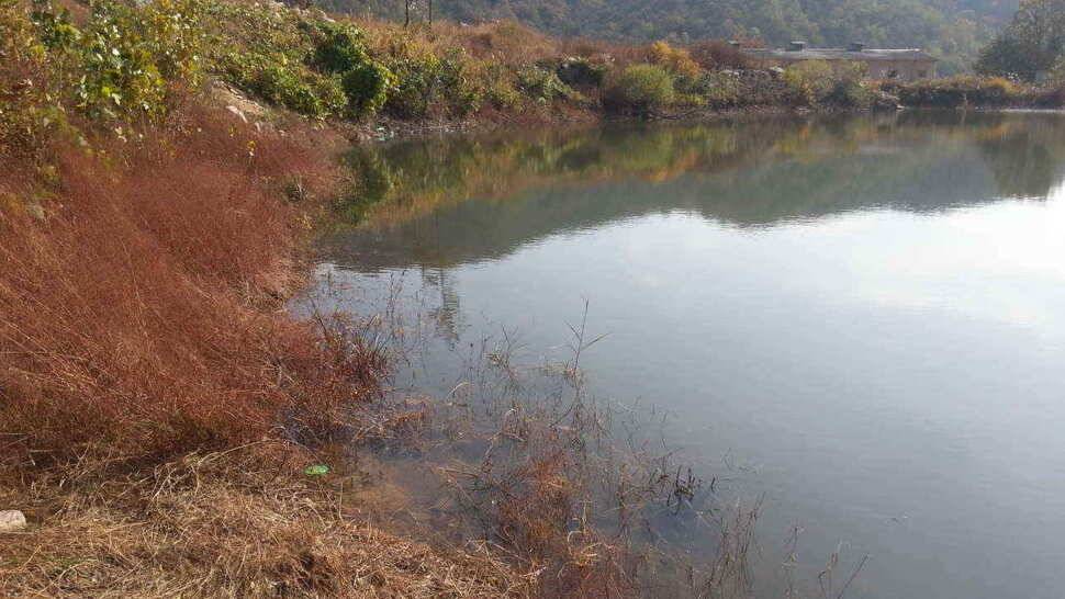 구미권 저수지 및 낙동강조황 (조황조행기 - 낚시점조황)