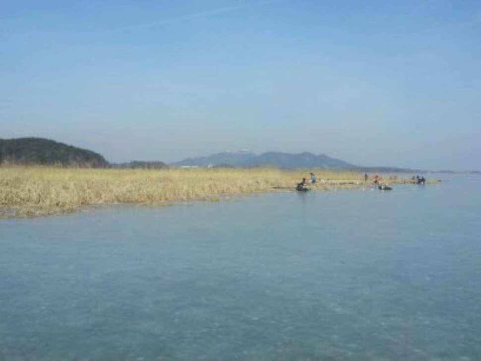 서산 무장리수로 얼음낚시 (조황조행기 - 낚시점조황)