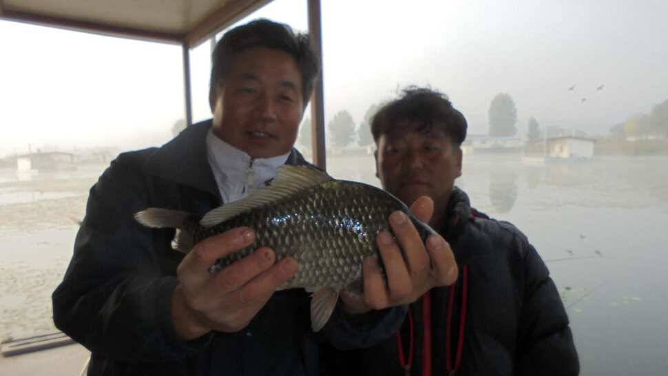입석 및 주변조황 (조황조행기 - 낚시점조황)